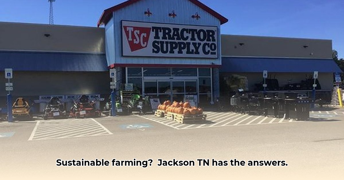 jackson-tn-tractor-supply